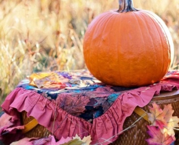 Vom Kürbis zur Kunst: So verzauberst du deinen Garten im Herbst